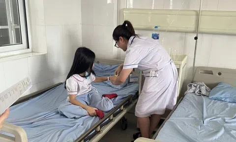 Quảng Ninh: Sức khỏe của 33 học sinh nghi ngộ độc thực phẩm đã ổn định