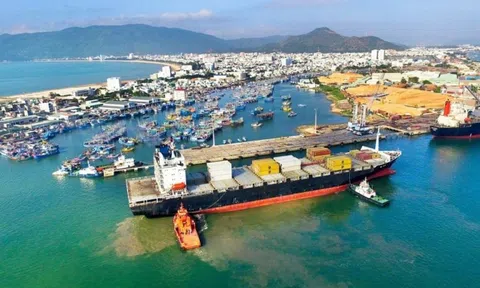 Cảng Quy Nhơn báo lãi tăng 64% trong quý đầu năm 2024
